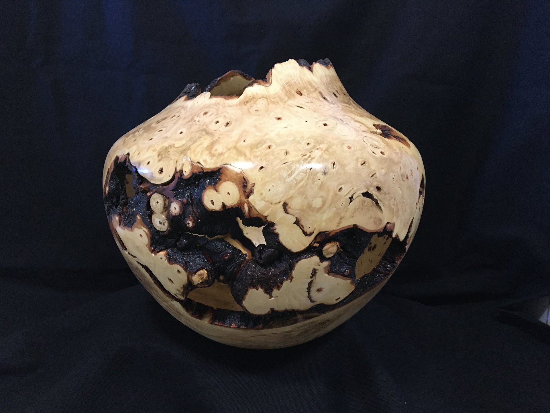 Buckeye burl