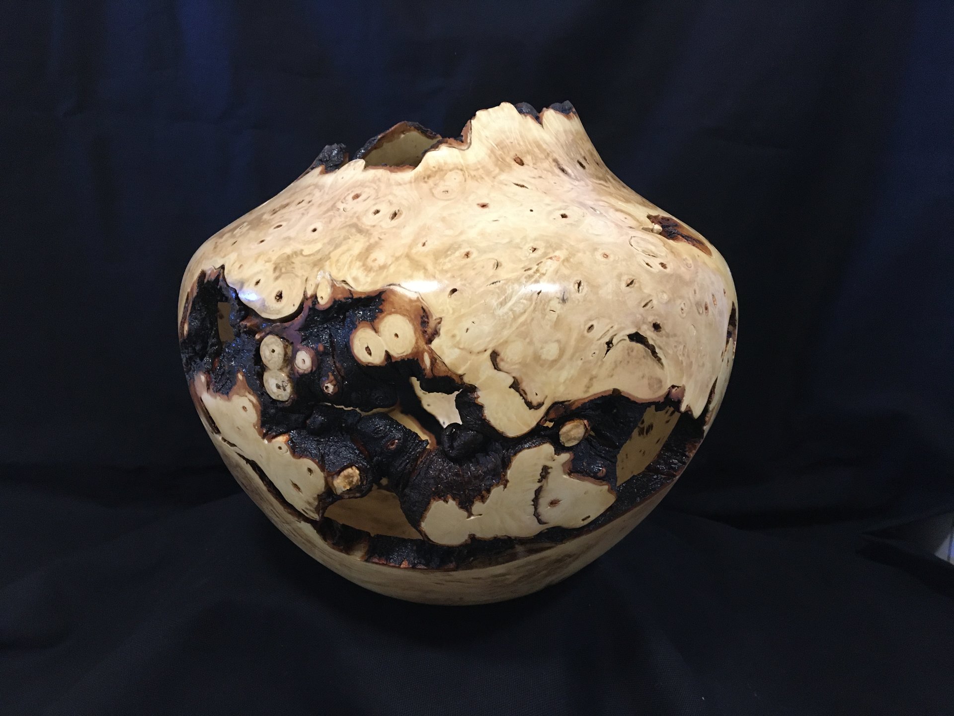 Buckeye burl