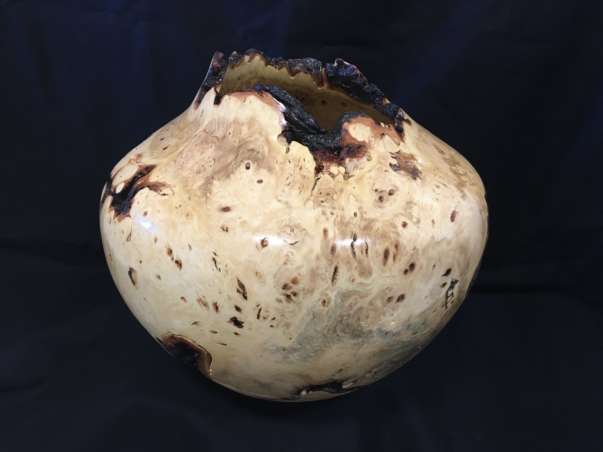 Buckeye burl