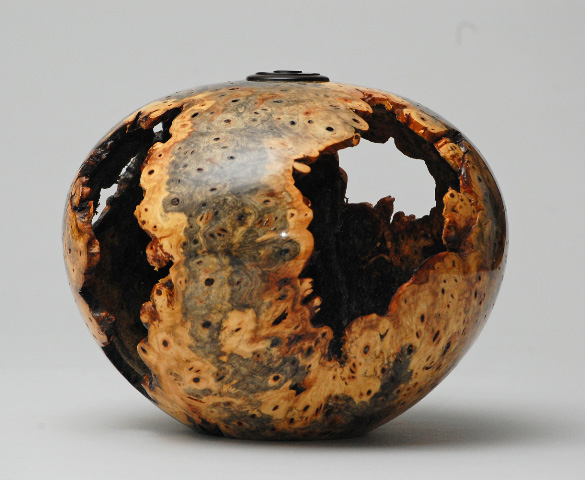 Buckeye Burl