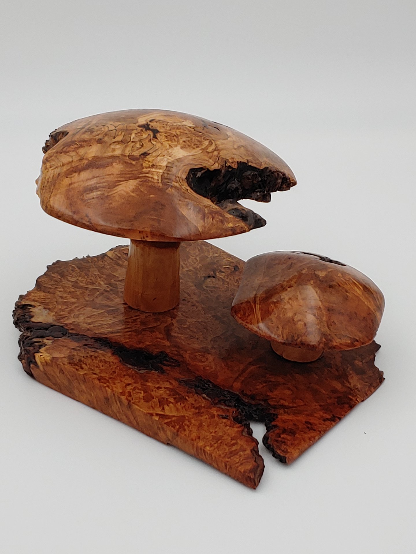 Burl mushroom