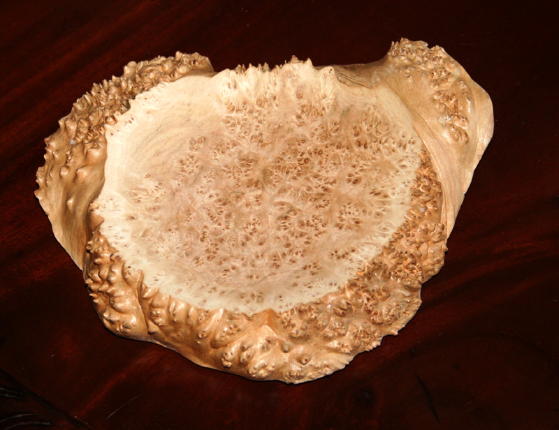 Burl Tray with natural edge