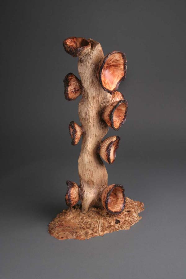 Burl Tree