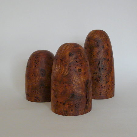 Burr wych elm forms