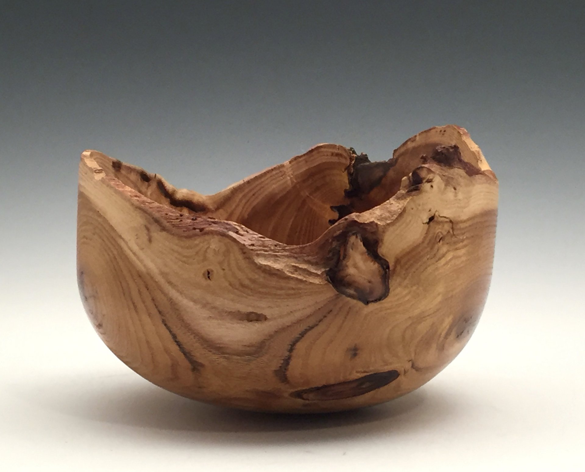Busy Bowl