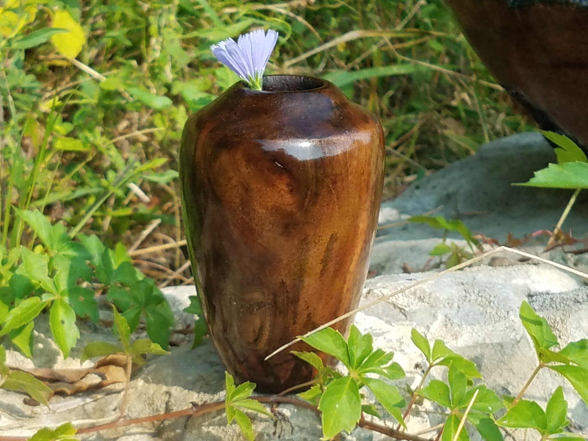BW Root wood vase #01