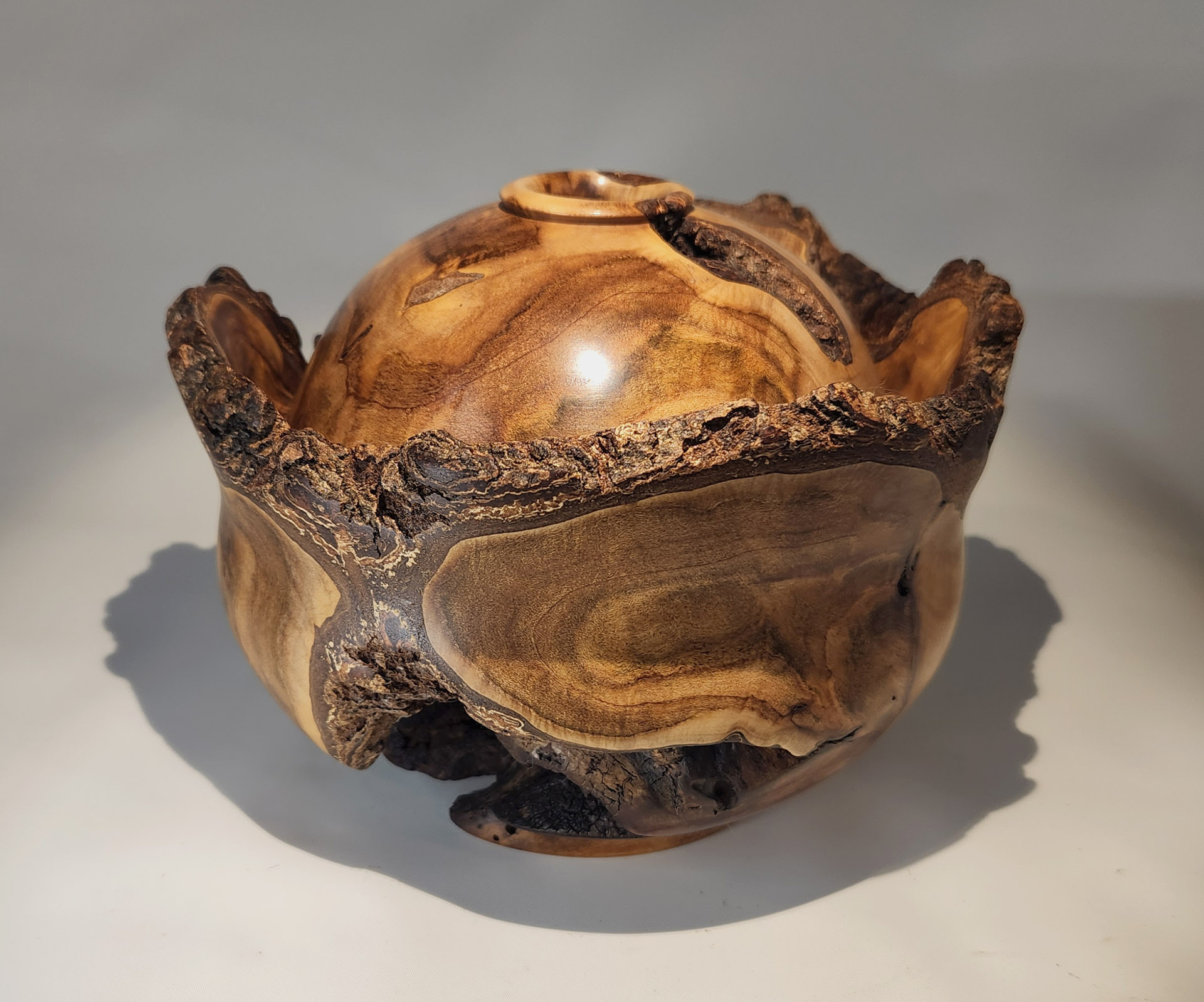 Cabbage Burl #1