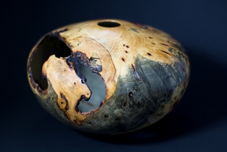 California Buckeye