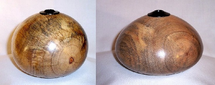 Camphor Hollow Forms