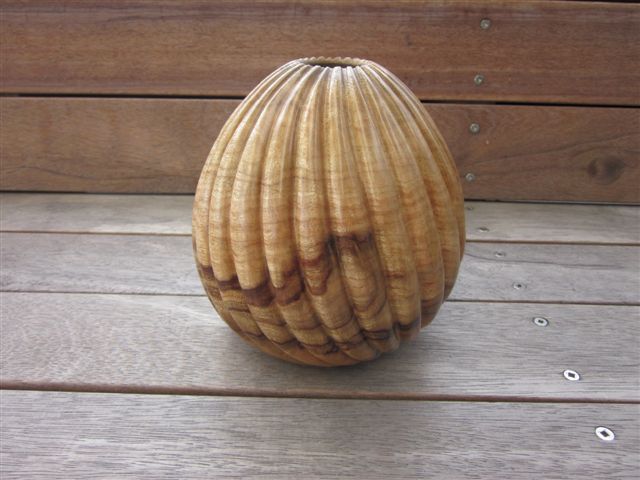 Camphor Laurel hollow vessel