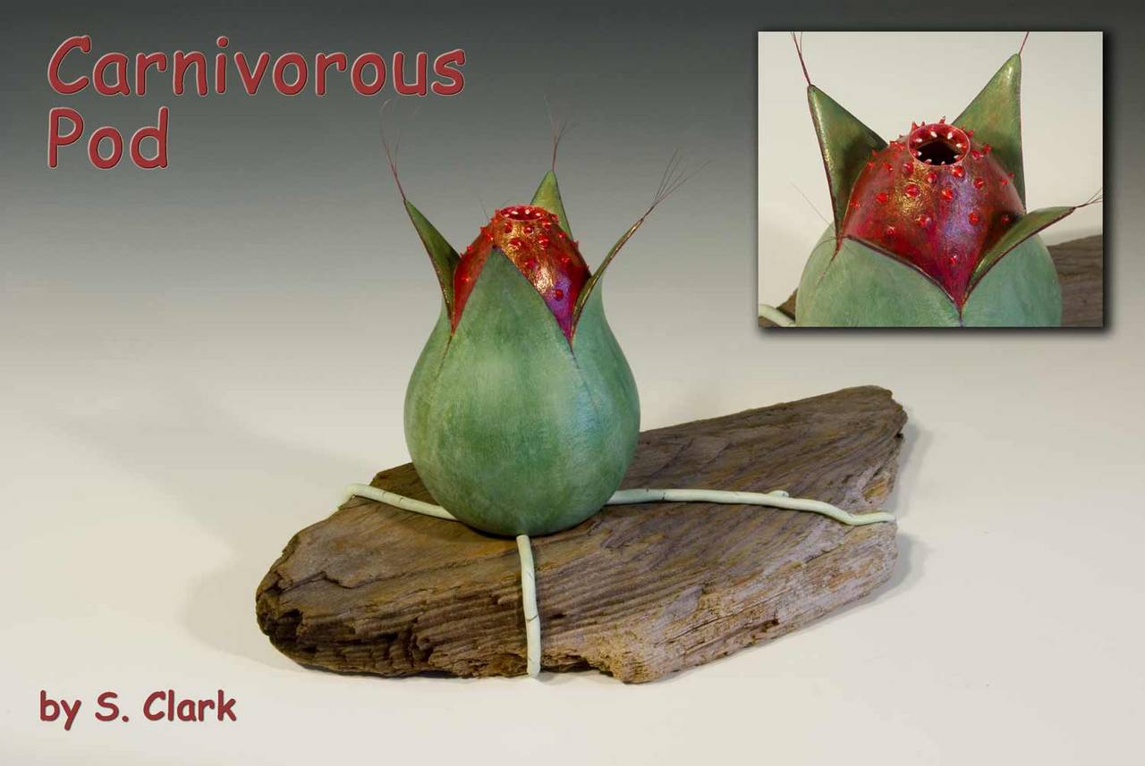 Carnivorous Pod