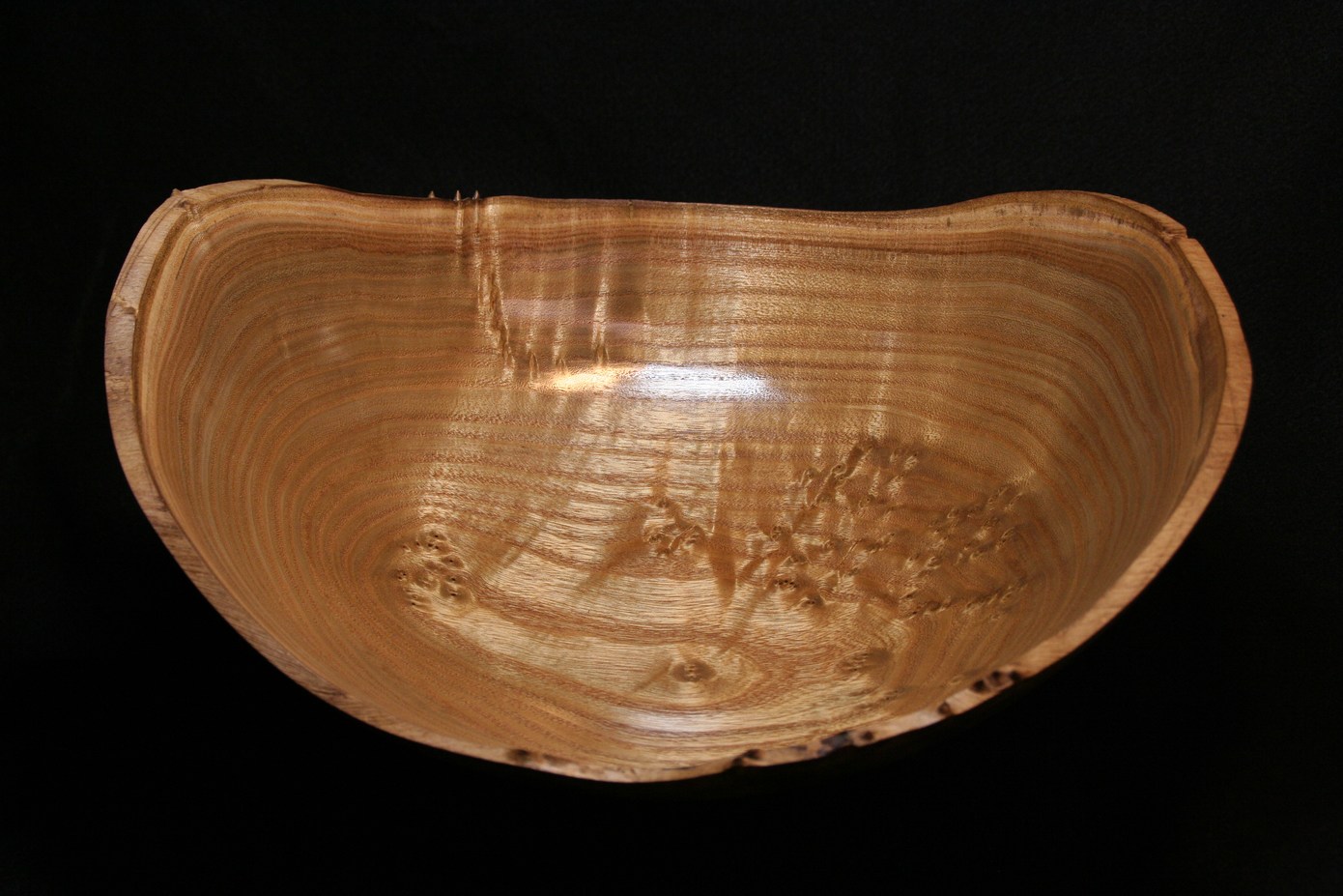 Catalpa burl natural edge bowl