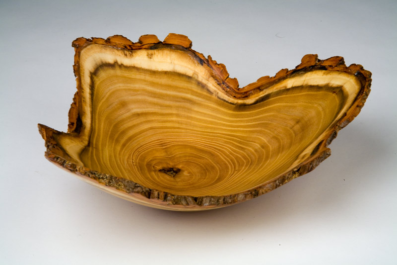 Catalpa Natural Edge Bowl