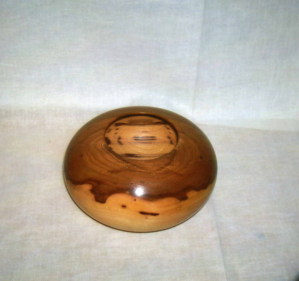 cedar elm hollow vessel