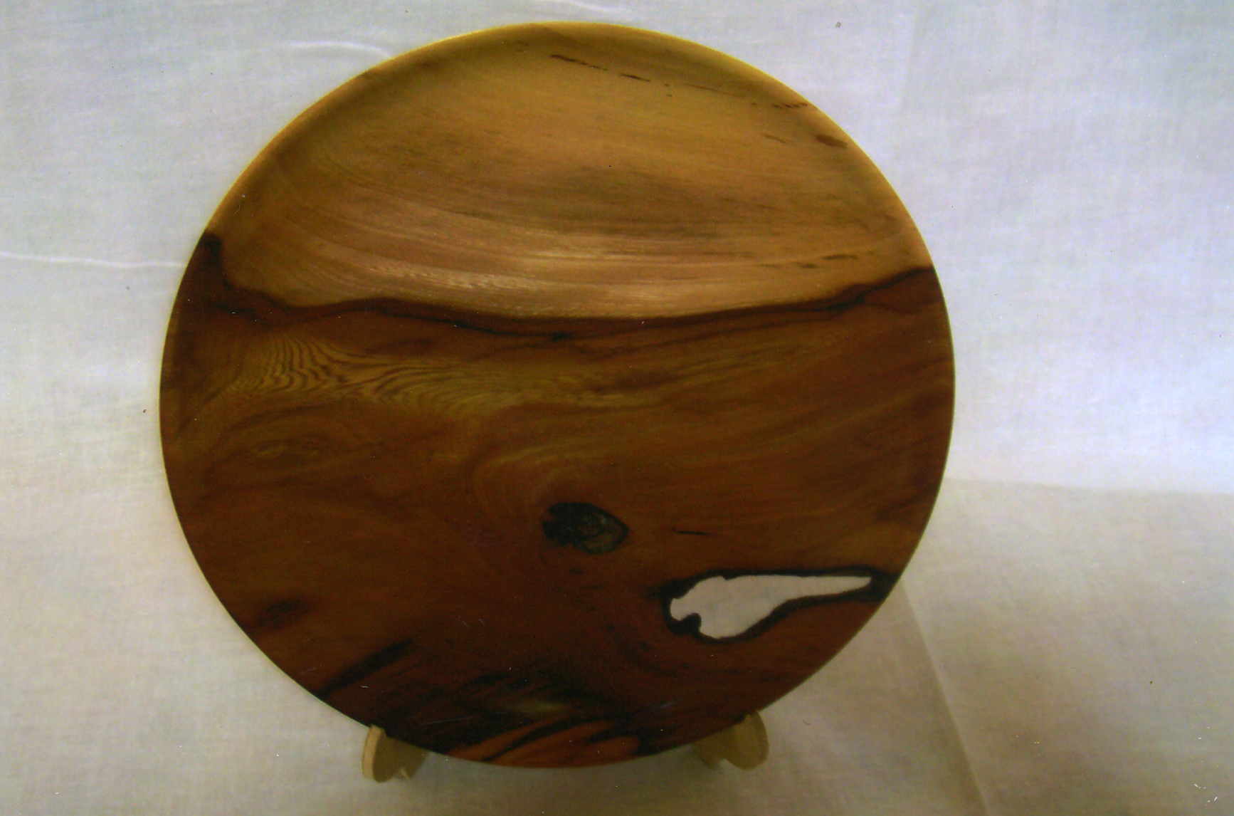 Cedar elm with mineral discoloration