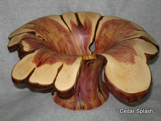Cedar Splash