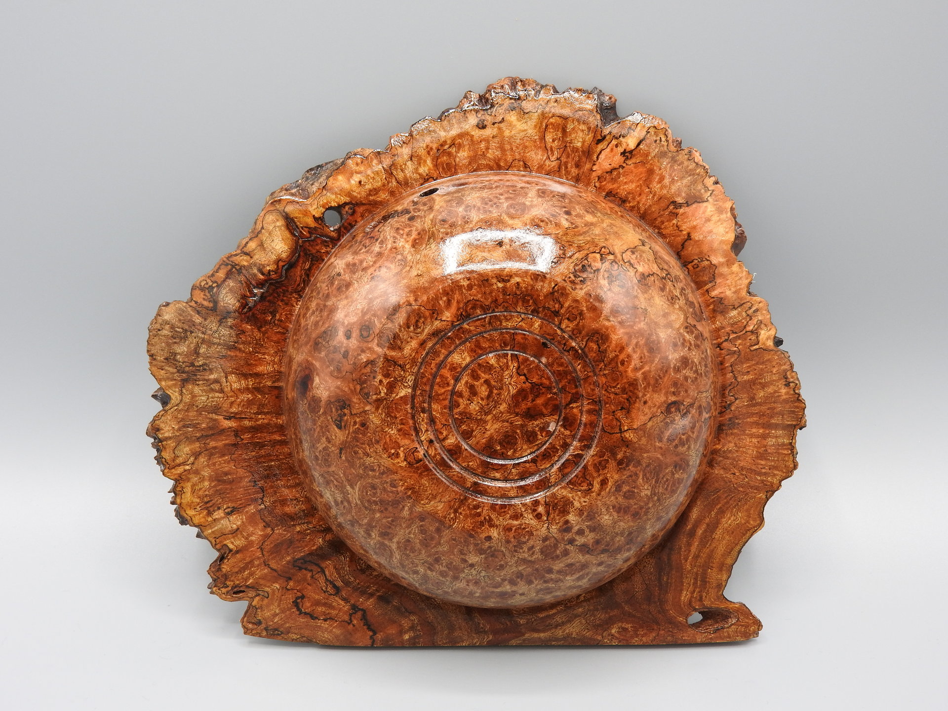 Chechen Burl Winged Bowl Back View