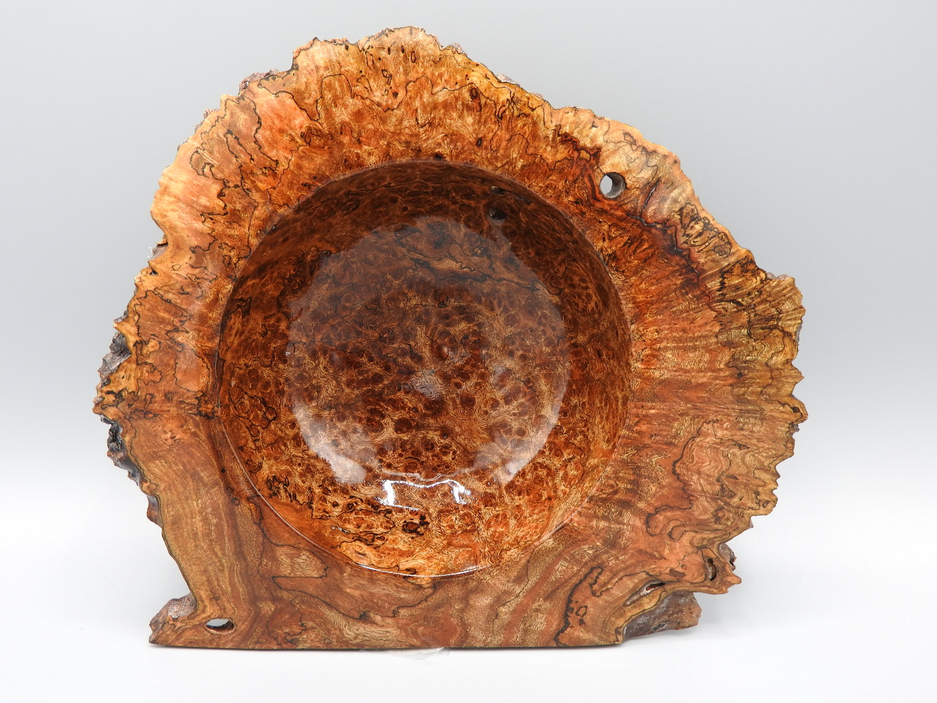 Chechen Burl Winged Bowl