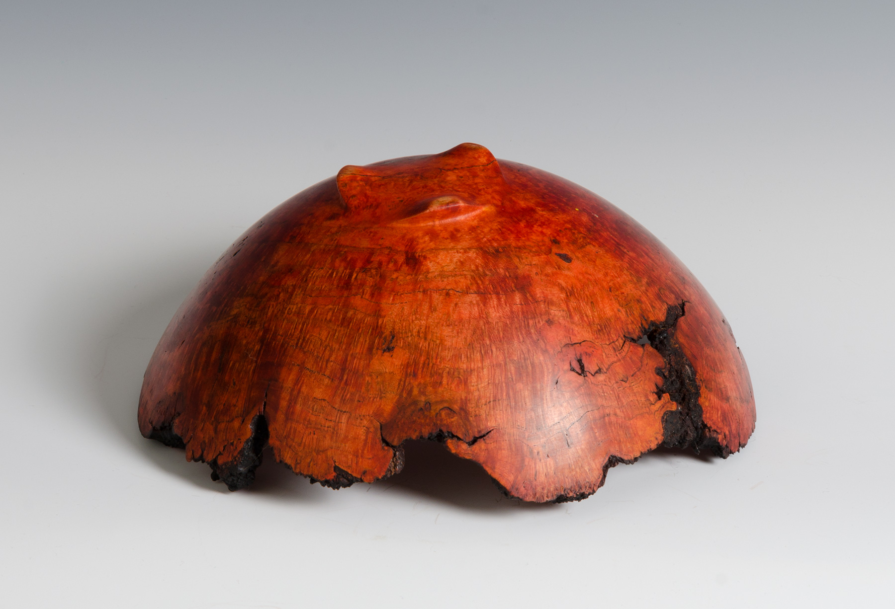 Cherry Burl Bowl