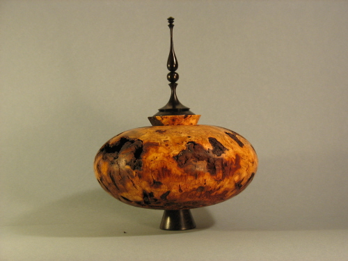 Cherry Burl H/F