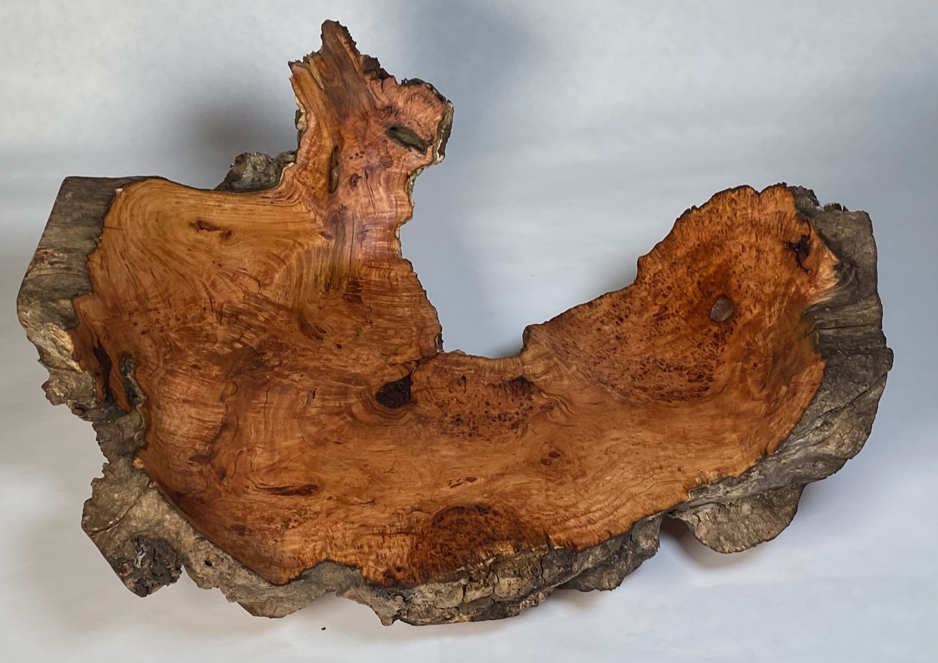 Cherry burl