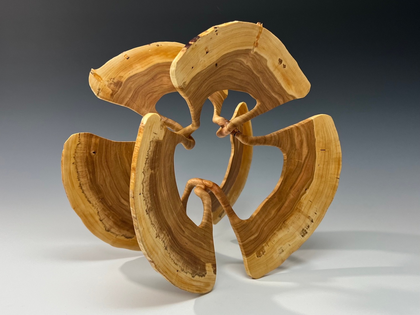 Cherry Fin Sculpture