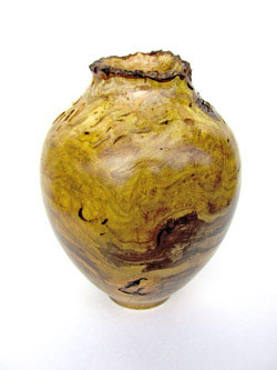 Chinese Elm Vase