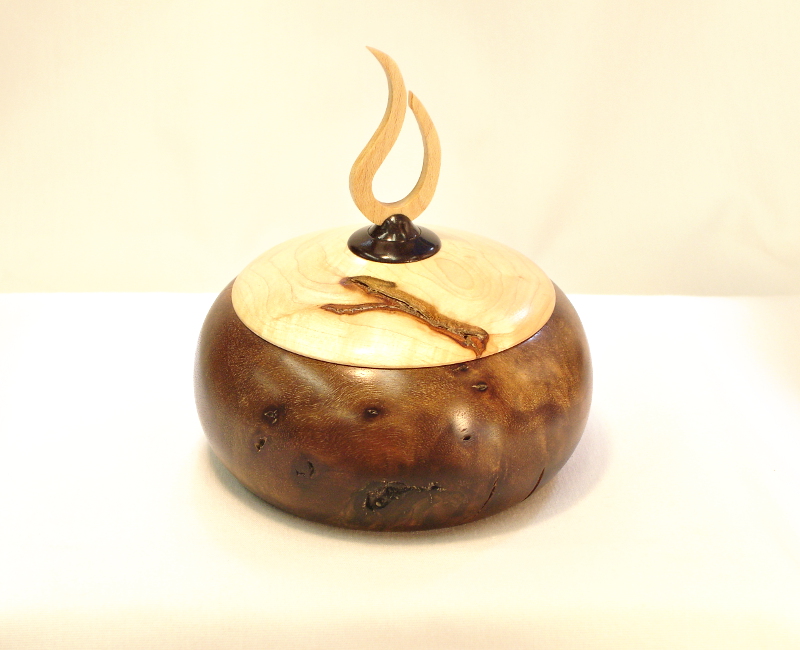 Clario Walnut Burl Box & Maple Lid w/African Blackwood & Maple fini