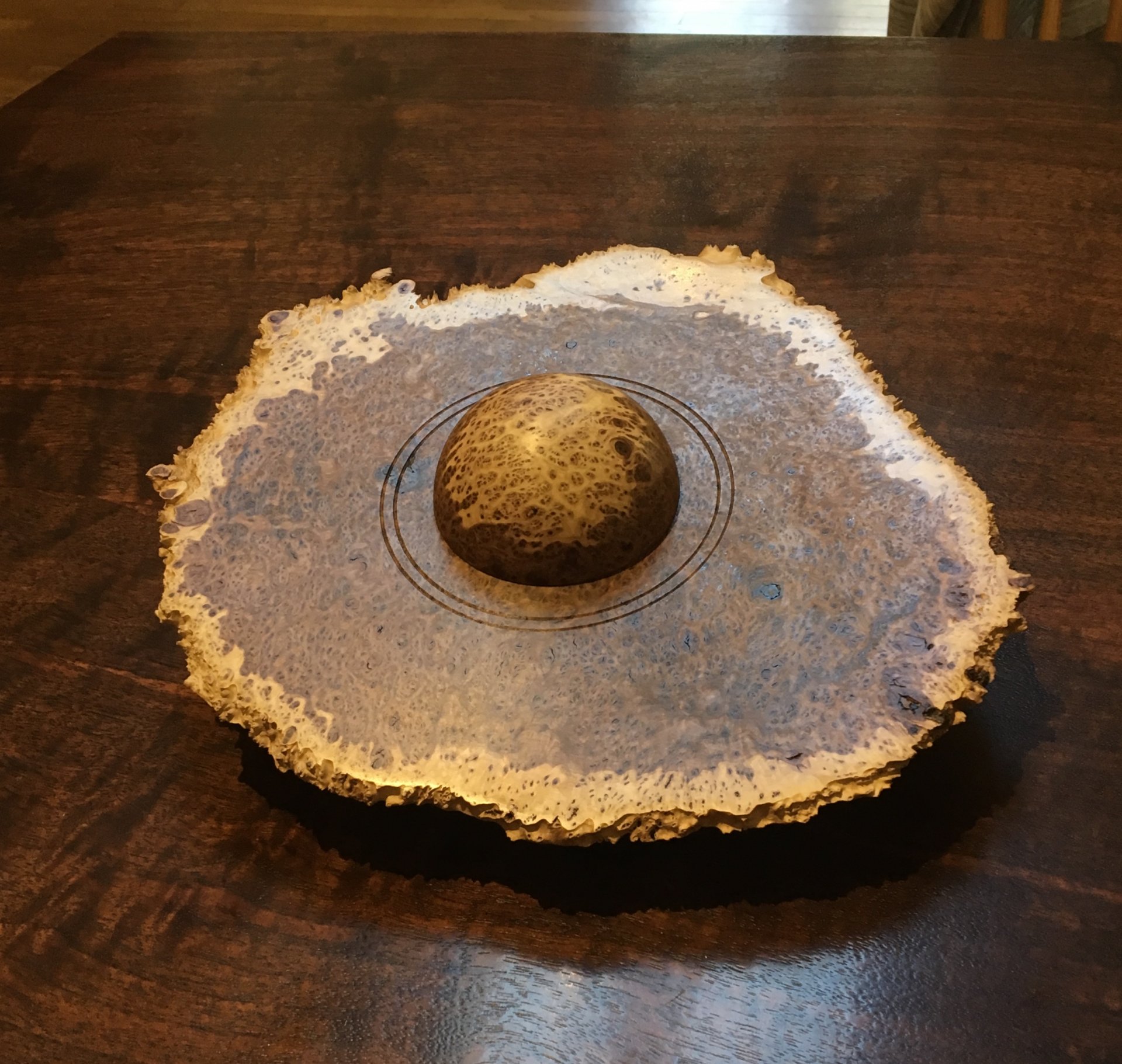 Concinna burl planet box