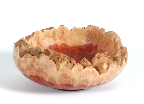 Coolibah burl