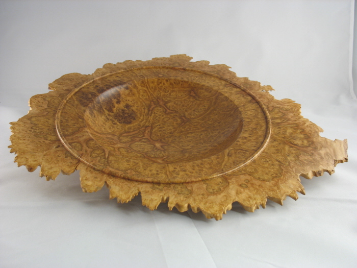 CORRUGATA BURL