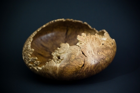 Corrugata
