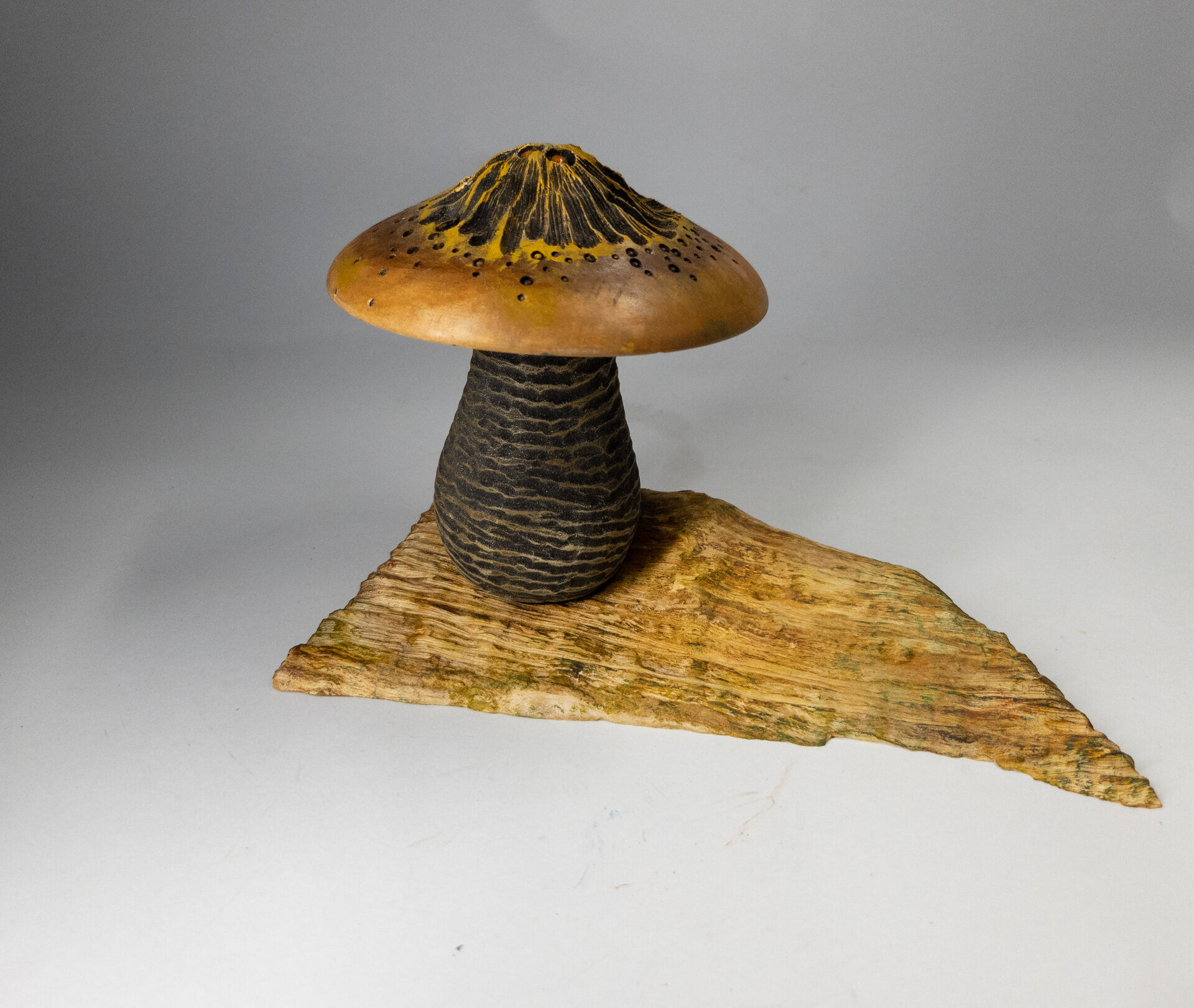 Cremini Mushroom Box