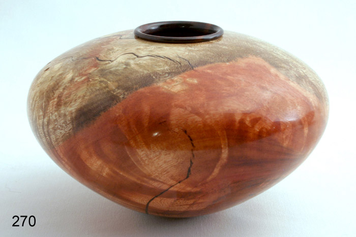Curly Carob with Desert Ironwood collar