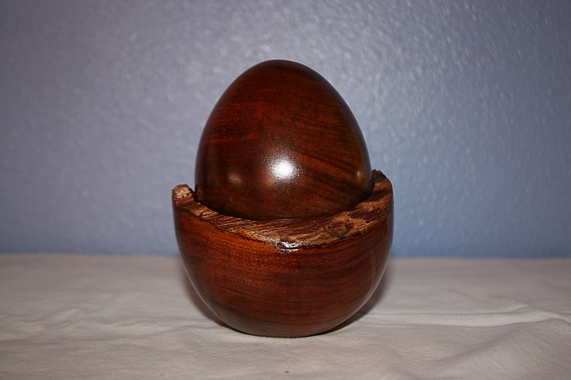 Curly Koa Egg and Nest