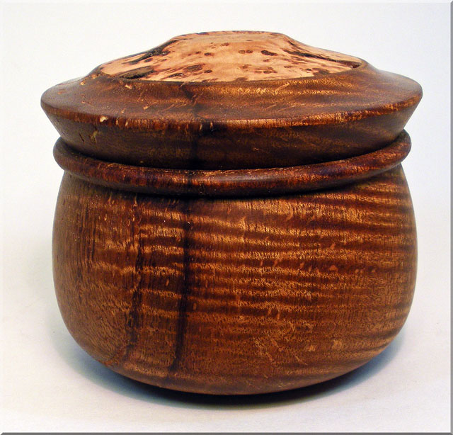 CURLY Koa/Hop Hornbeam BURL Box