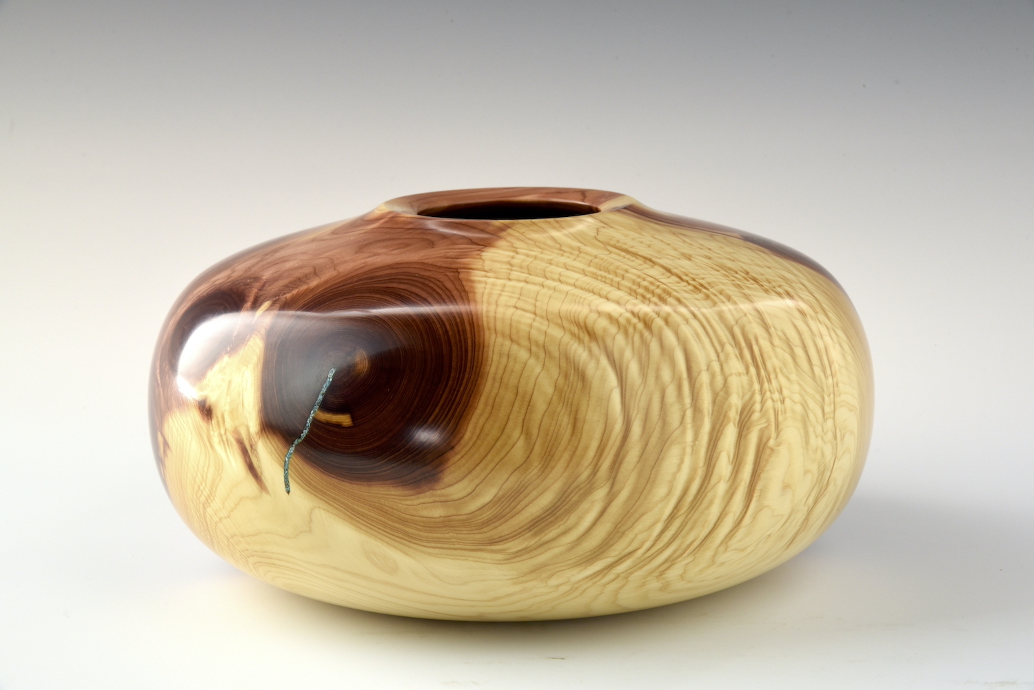 Curly Mountain Juniper