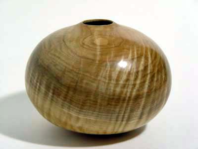 Curly_Maple_4_20_04