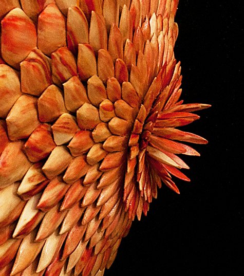 Dahlia Detail