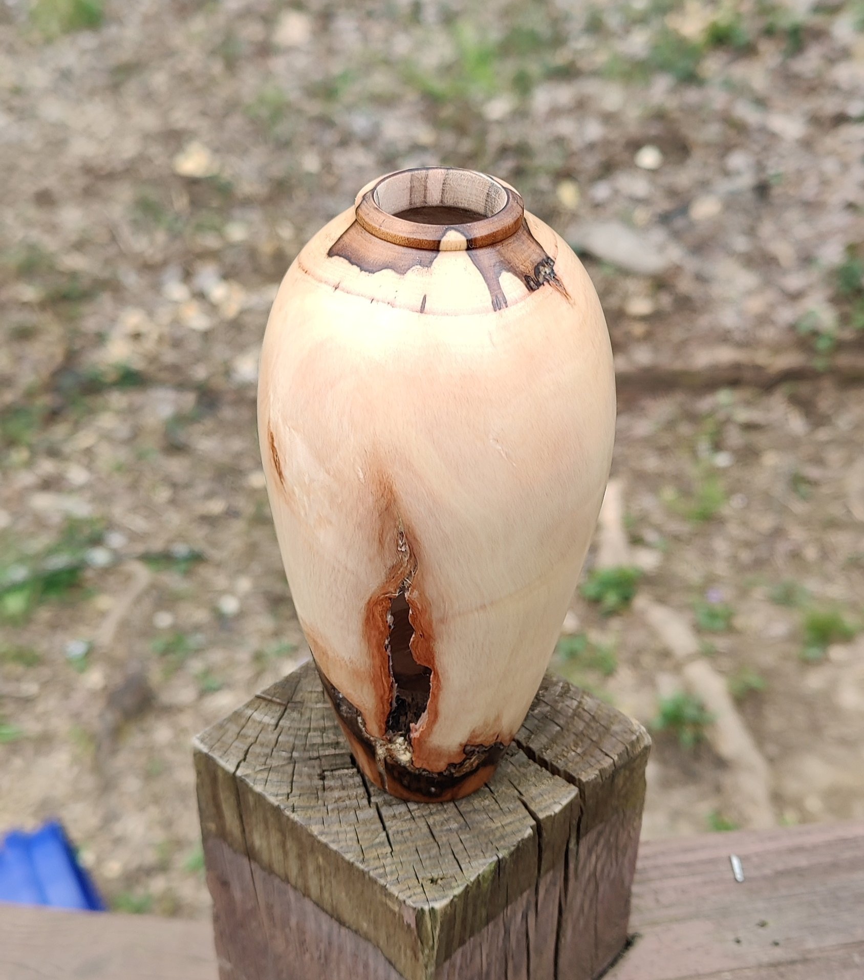 Dogwood Hollow Form