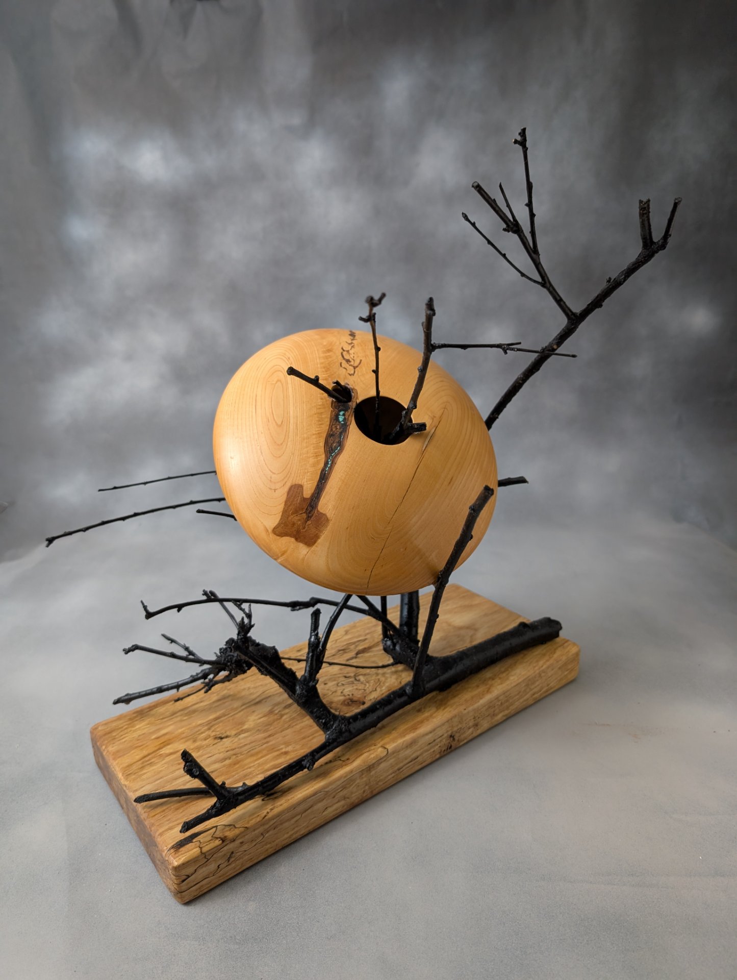 Don't Drive Your Flying Saucer too Close to the Trees