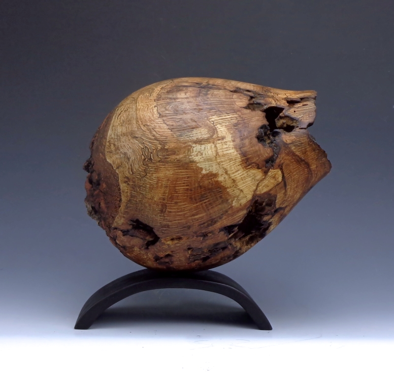 Double Natural Oak Burl