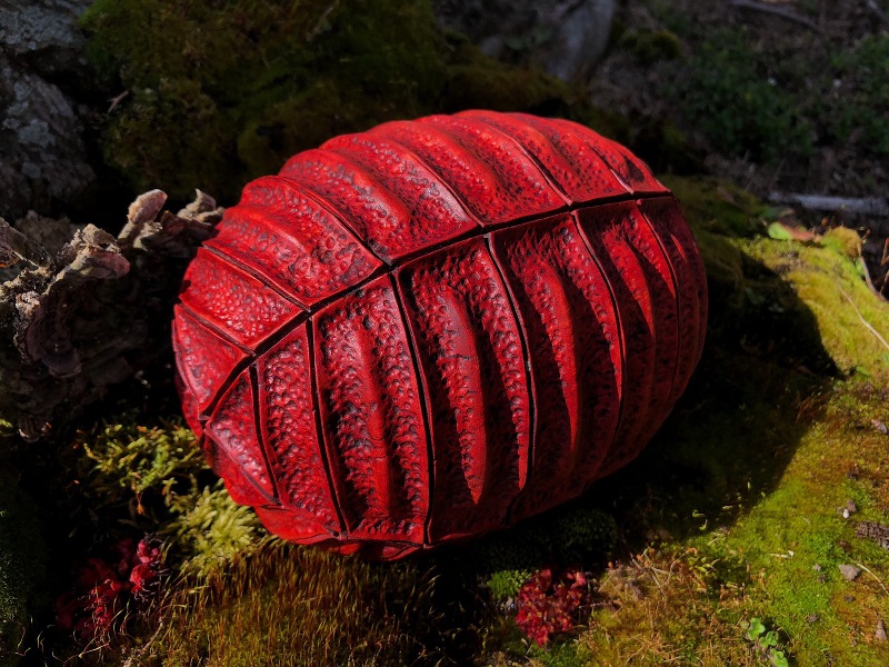 Dragon Egg