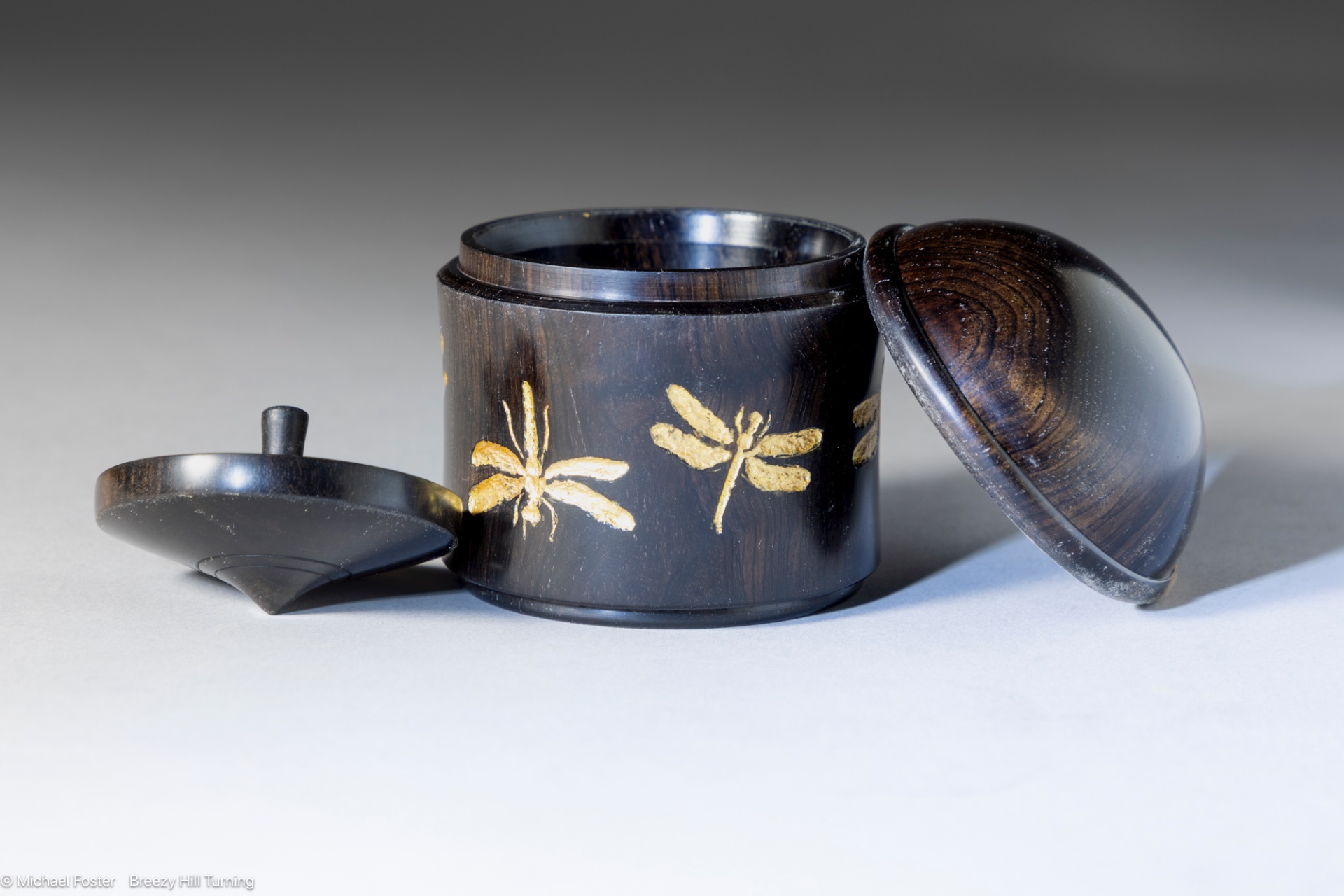 Dragonfly box with included top