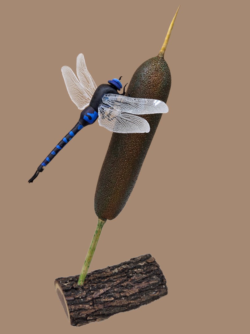 Dragonfly on a bulrush