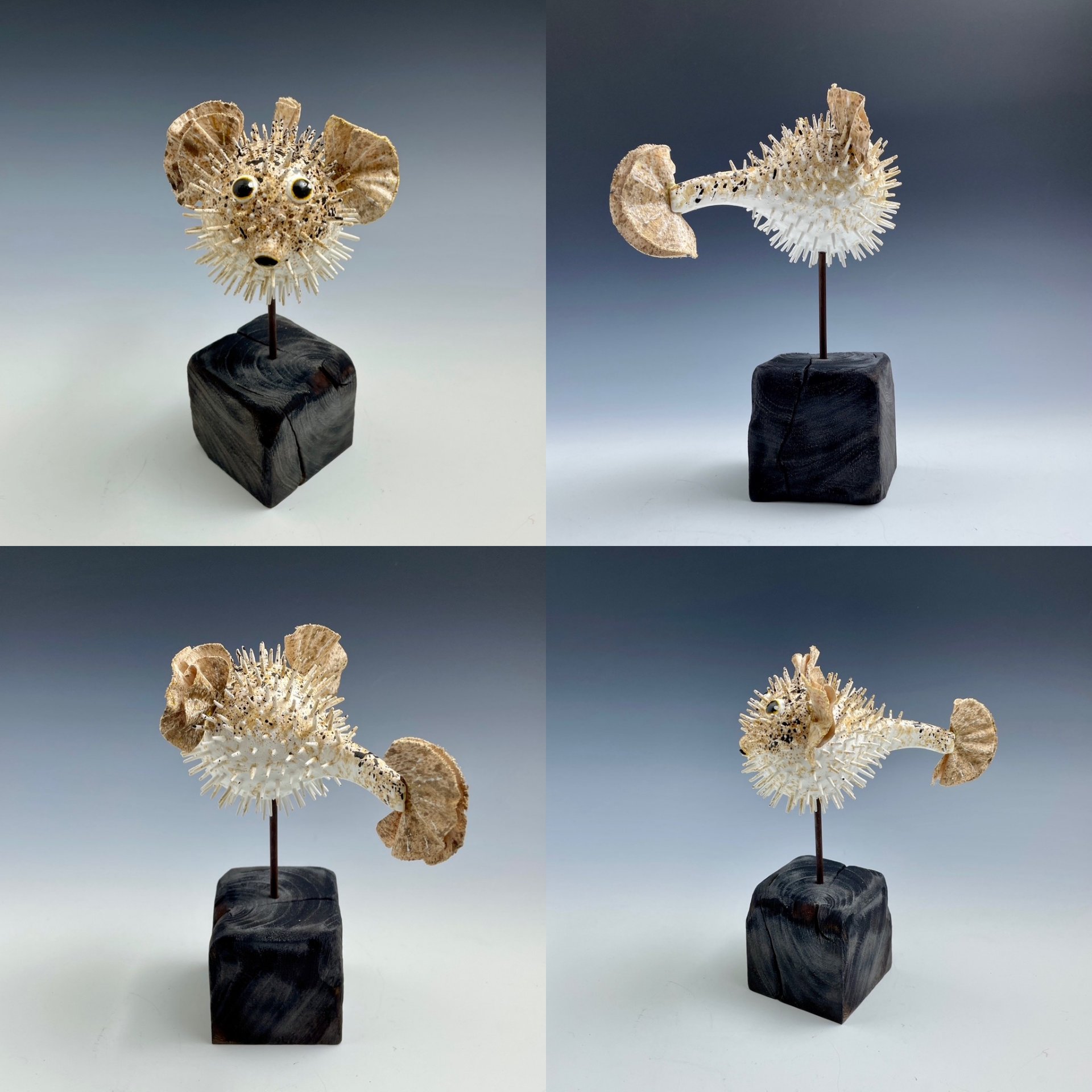 "Duffy the Pufferfish"