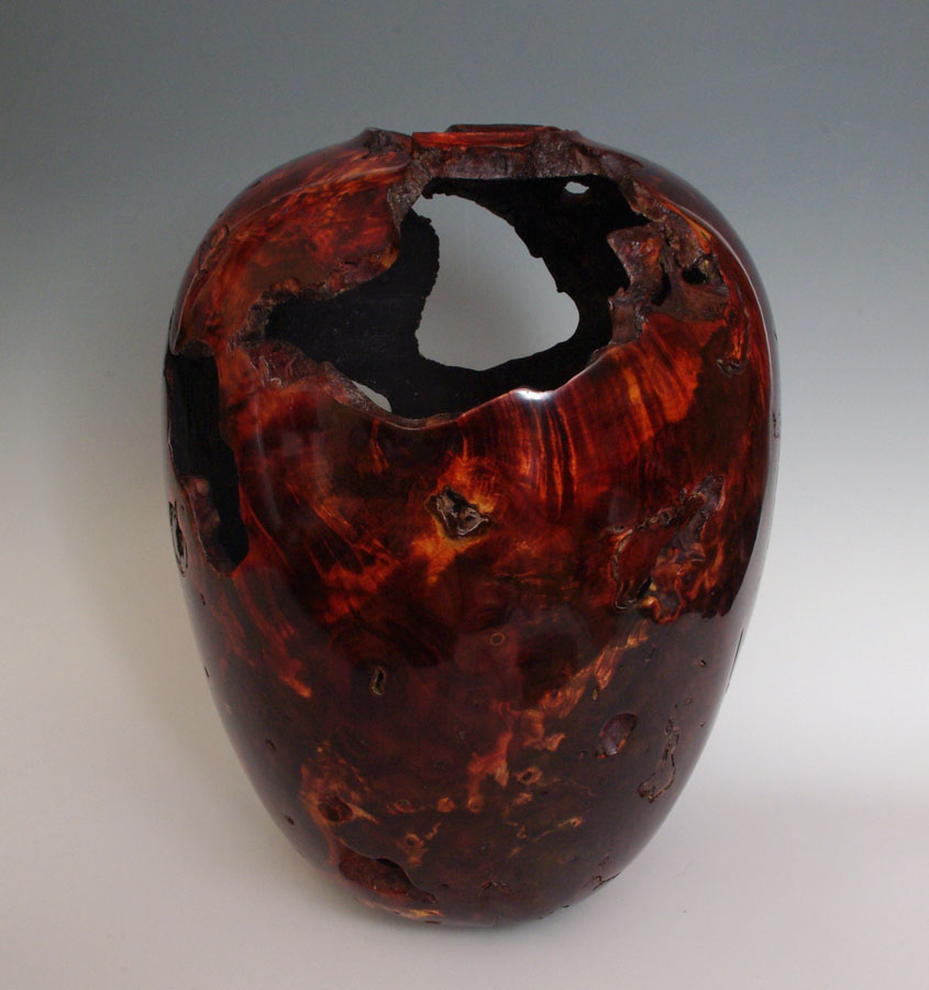 Dyed Buckeye Burl