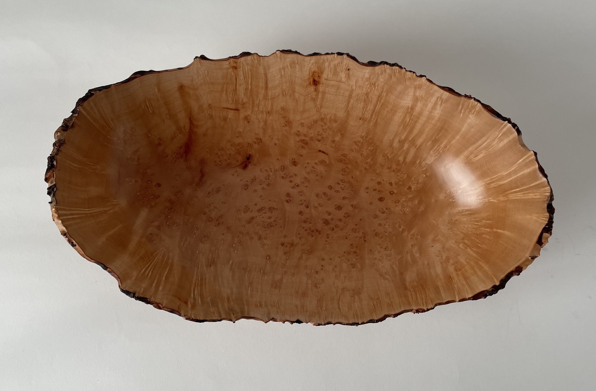 Elliptical Arbutus Burl