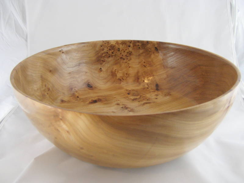 Elm Burl 14 x 4 1/2 High