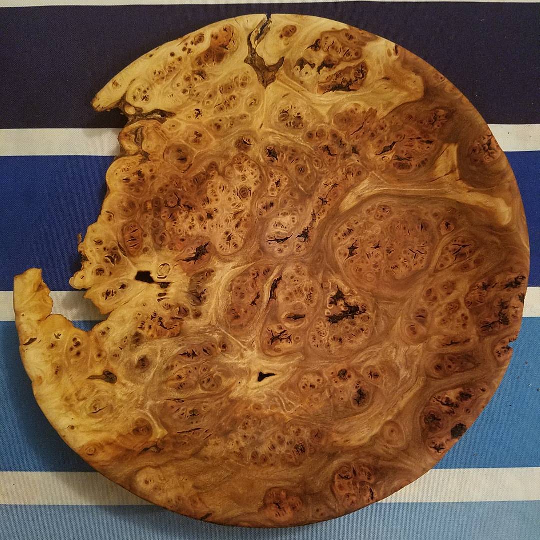 Elm Burl Platter